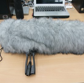 2012년2월17일사진 061